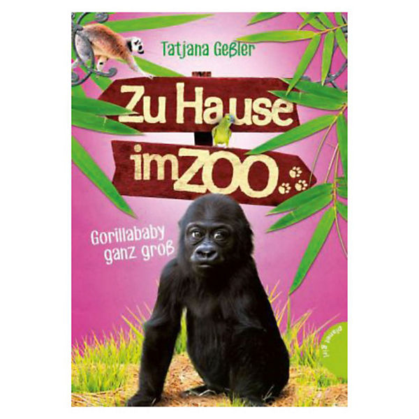 Zu Hause im Zoo: Gorillababy ganz groß