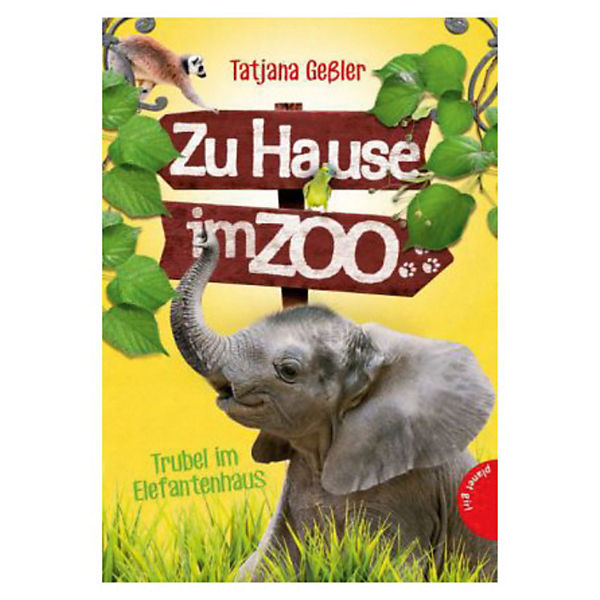 Zu Hause im Zoo: Trubel im Elefantenhaus