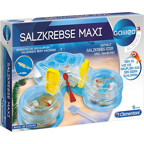 galileo salzkrebse maxi galileo mytoys galileo salzkrebse maxi galileo mytoys