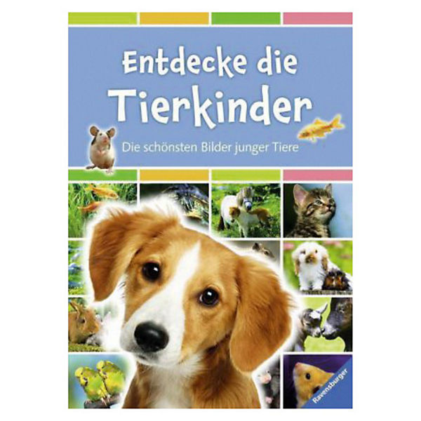 Entdecke die Tierkinder