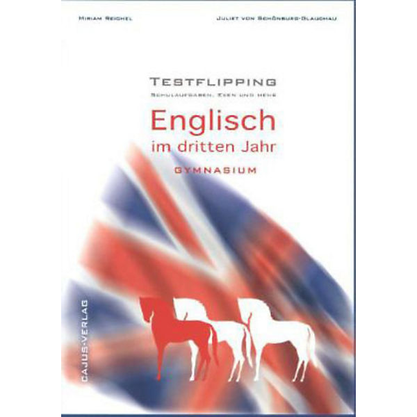 Testflipping 3. Jahr Englisch - Das Schulaufgabenbuch