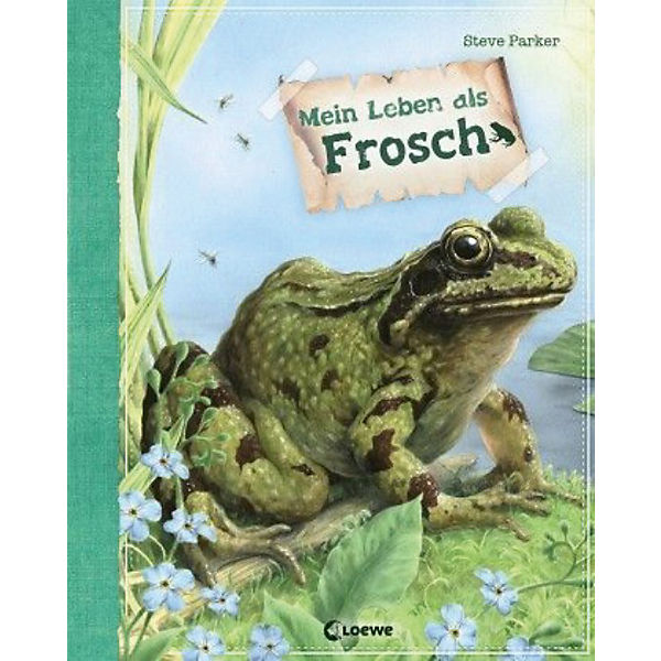 Mein Leben als Frosch
