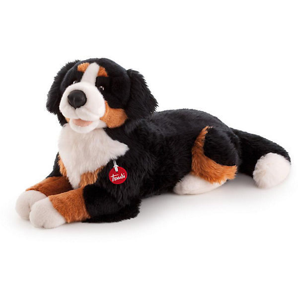 CLASSIC CANI Berner Sennenhund Bruce 57cm