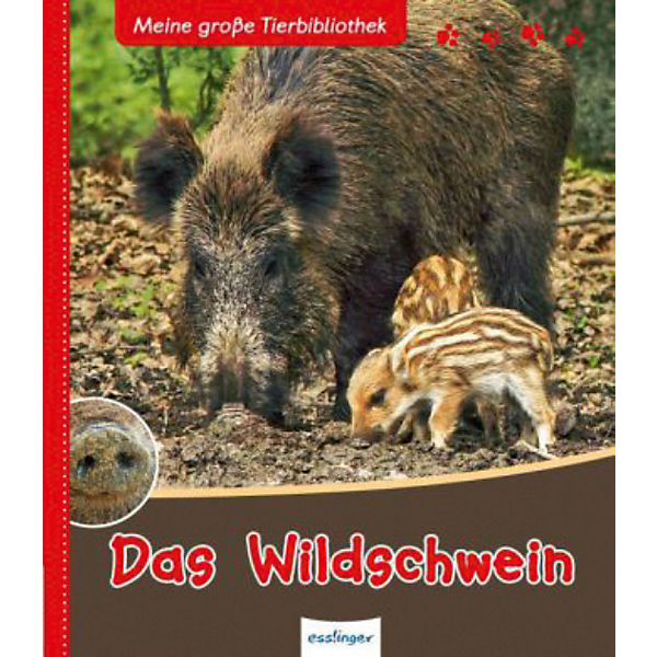 Meine große Tierbibliothek: Das Wildschwein