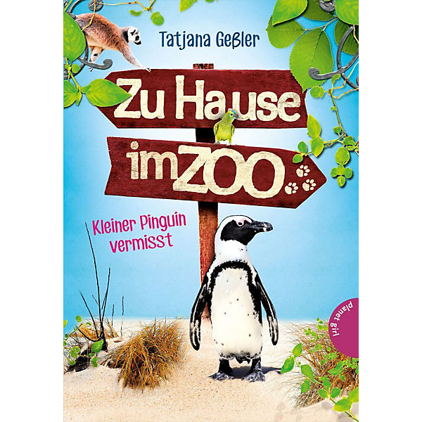 Zu Hause im Zoo: Kleiner Pinguin vermisst
