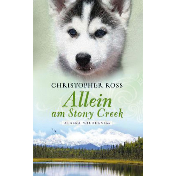 Alaska Wilderness - Allein am Stony Creek