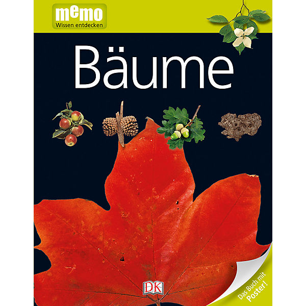 memo, Wissen entdecken: Bäume