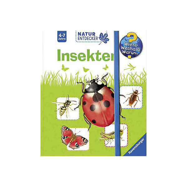 WWW Naturentdecker: Insekten