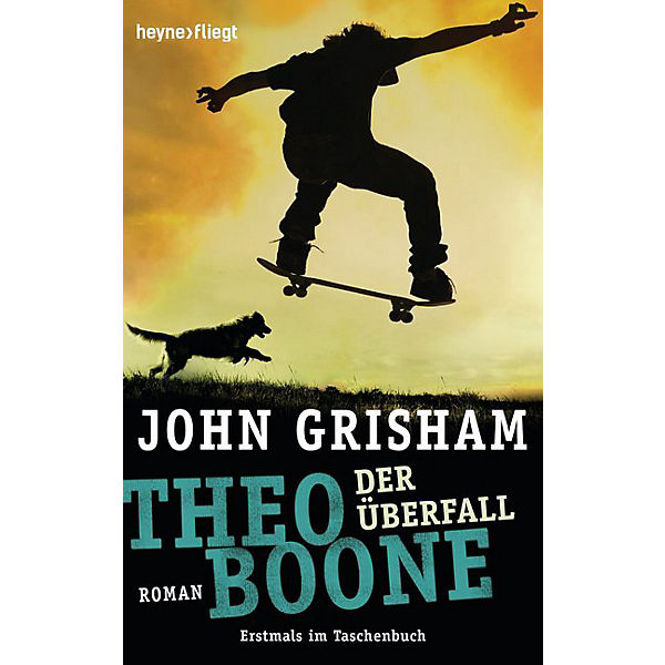 Theo Boone: Der Überfall