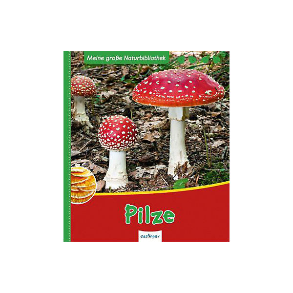 Meine große Naturbibliothek: Pilze