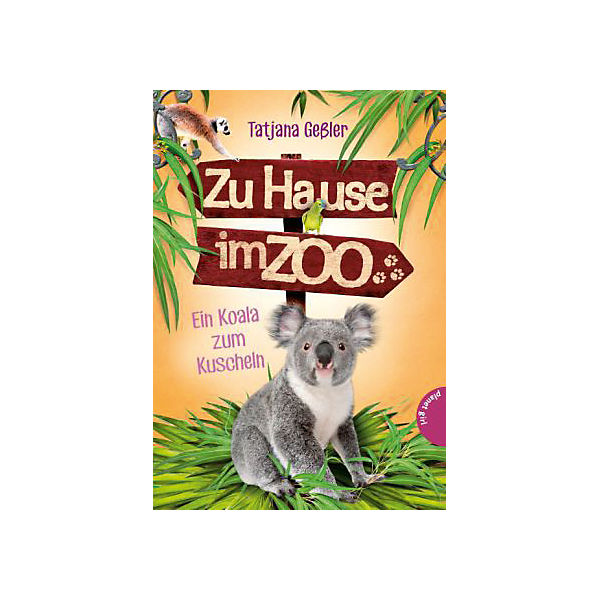 Zu Hause im Zoo: Koala zum Kuscheln