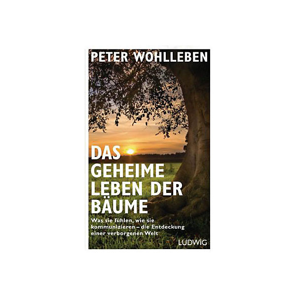 Das geheime Leben der Bäume
