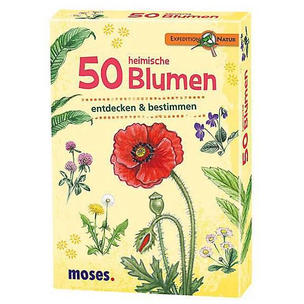 Expedition Natur: 50 heimische Blumen entdecken & bestimmen