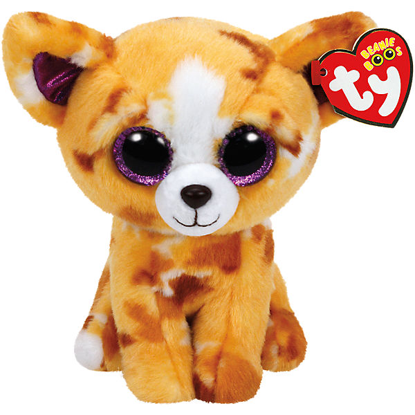 Beanie Boo 15 cm Chihuahua Pablo