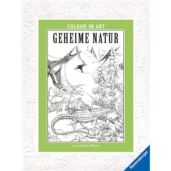 Colour in Art: Geheime Natur