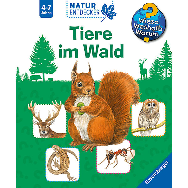 WWW Naturentdecker Tiere im Wald