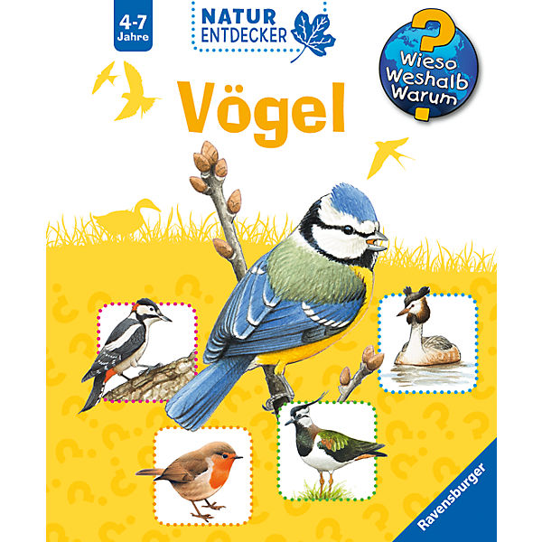 WWW Naturentdecker Vögel