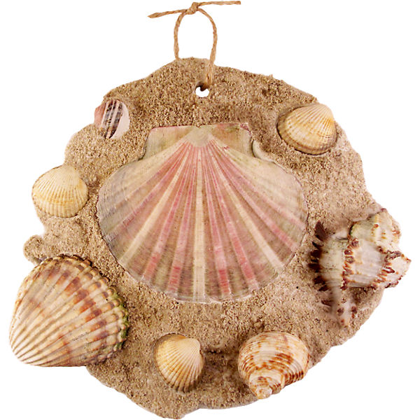 Strand-Kit für Muschelbilder Capt'n Sharky