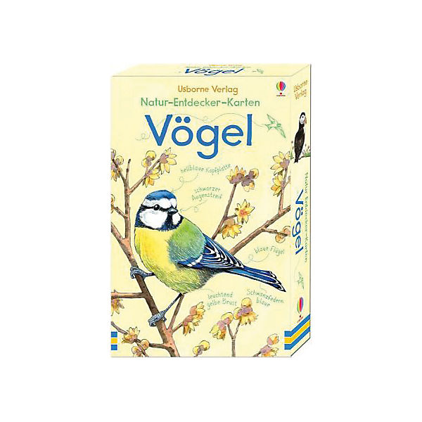 Natur-Entdecker-Karten: Vögel