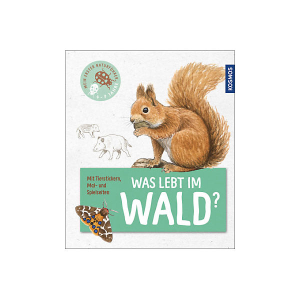 Mein erster Naturführer: Was lebt im Wald?
