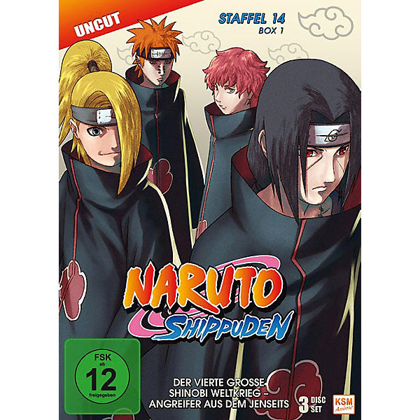 DVD Naruto Shippuden - Season 14.1