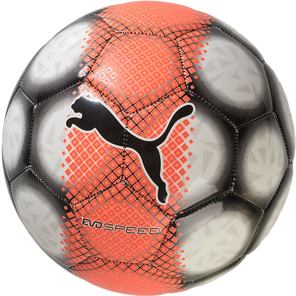 PUMA evoSPEED 5.5 Fußball, Gr.5