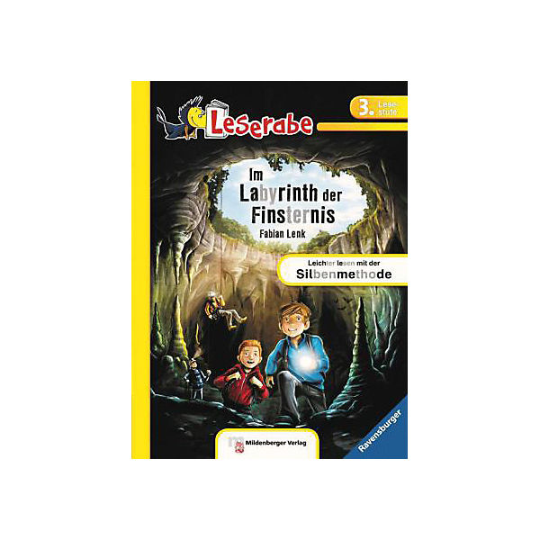 Leserabe 3: Im Labyrinth der Finsternis