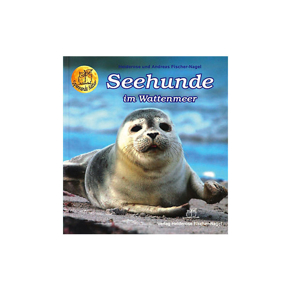 Seehunde im Wattenmeer