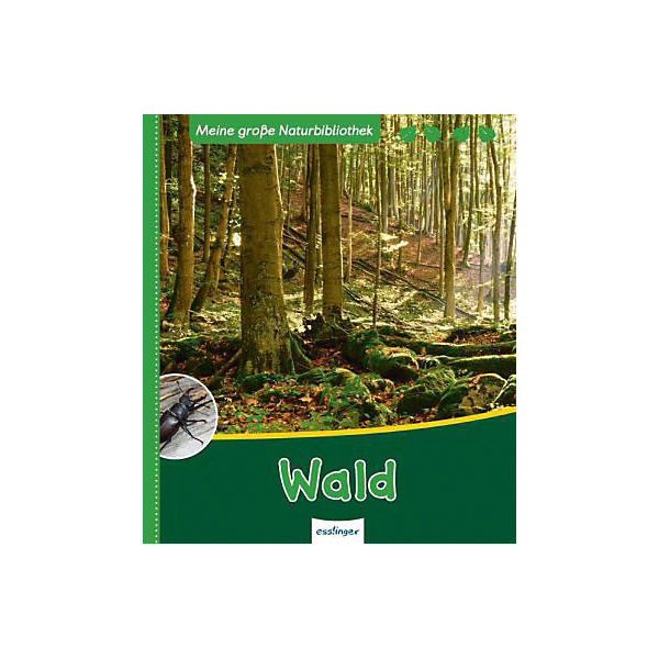 Meine große Naturbibliothek: Wald