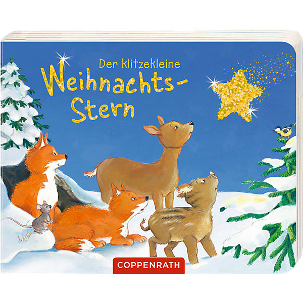 Der klitzekleine Weihnachtsstern