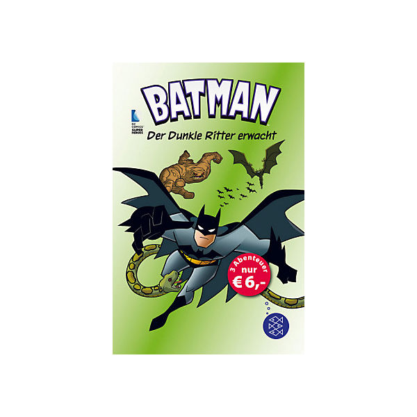 Batman: Der Dunkle Ritter erwacht
