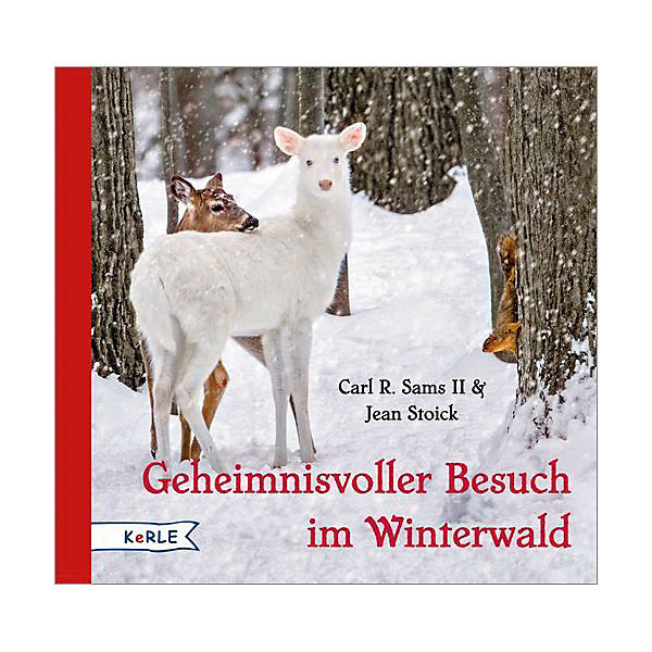Geheimnisvoller Besuch im Winterwald