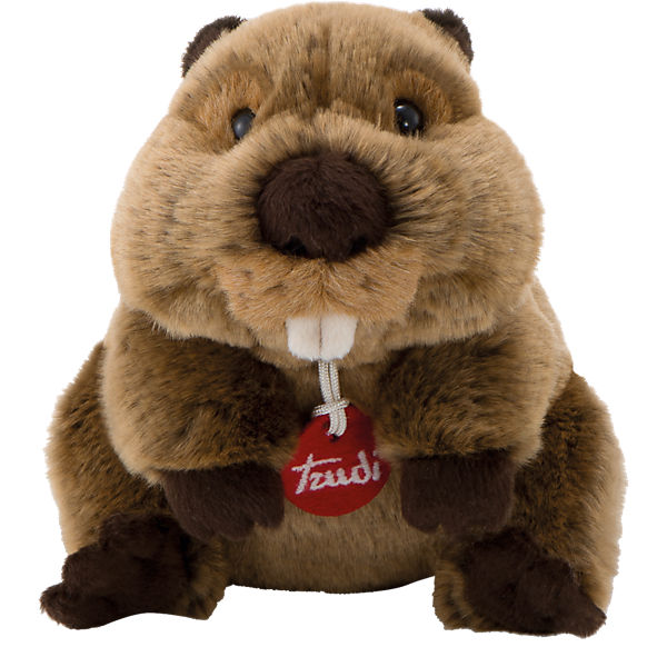 Biber Giuseppe, 30cm