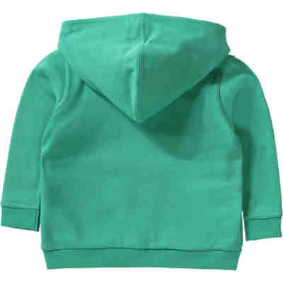 Baby Sweatjacke mit Kapuze für Jungen, Dinosaurier 2