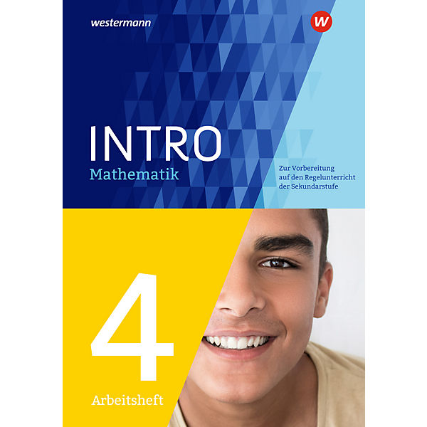 INTRO Mathematik SI - Arbeitsheft 4