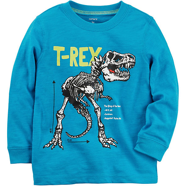 Langarmshirt Dinosaurier für Jungen