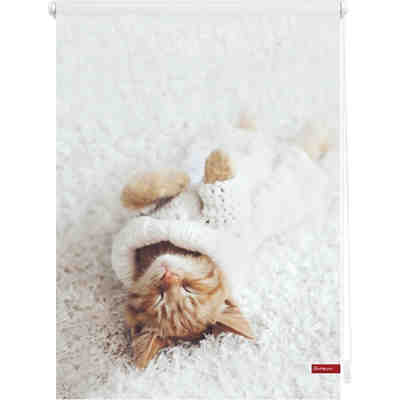 Rollo Klemmfix, ohne Bohren, Verdunkelung, Sleepy Cat 2