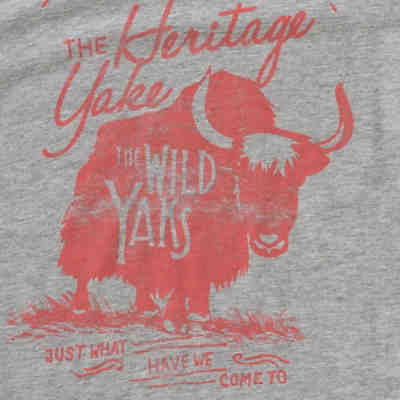 T-Shirt NKMKENT für Jungen, Organic Cotton 2