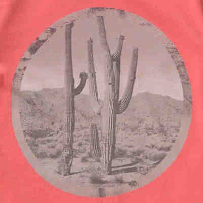 T-Shirt NKMKONRAD für Jungen, Organic Cotton 2