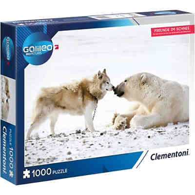 Galileo Big Picture Puzzle 1000 Teile - Freunde im Schnee