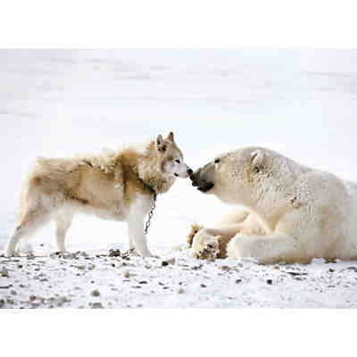 Galileo Big Picture Puzzle 1000 Teile - Freunde im Schnee 2