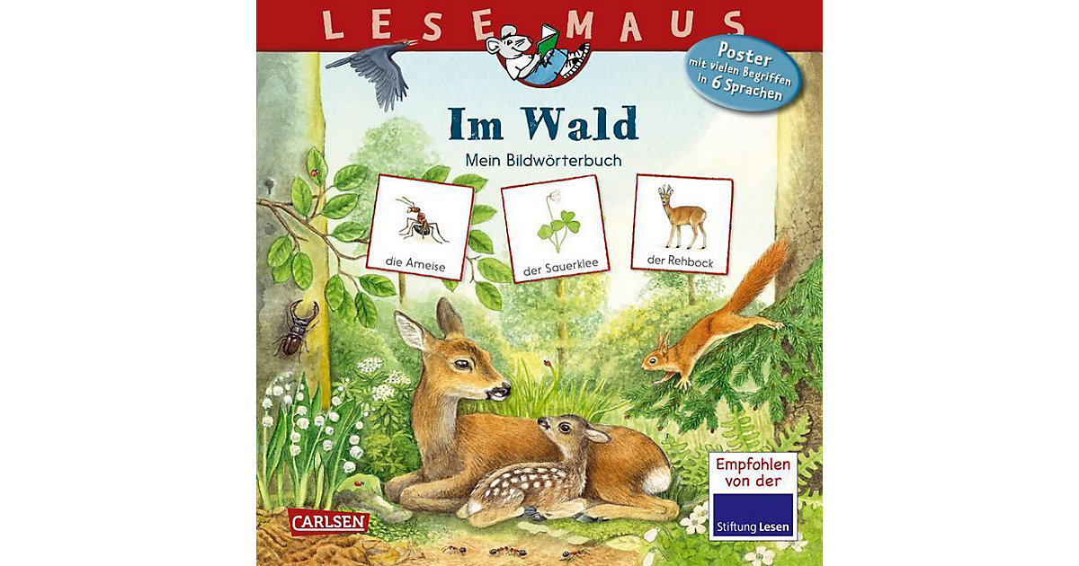 Buch - Lesemaus: Im Wald