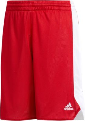 adidas Jungen Tiro 17 Trainingsshorts adidas Jungen Tiro 17 Trainingsshorts