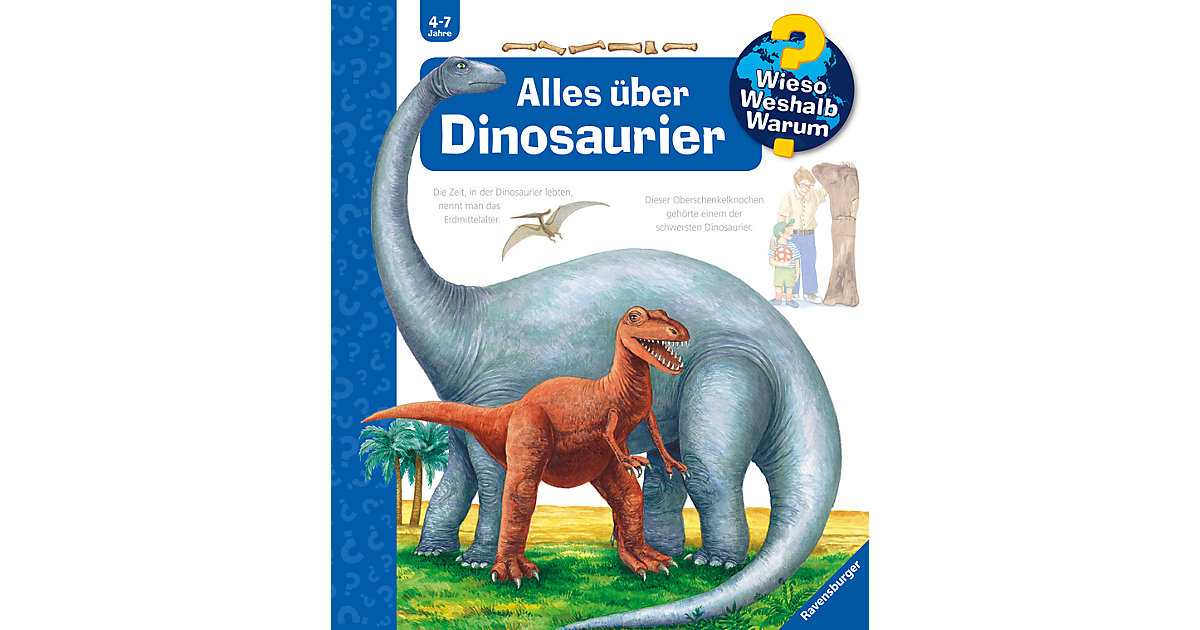 Buch - WWW Alles über Dinosaurier