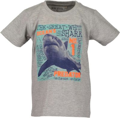 T-Shirt grau Gr. 110 Jungen Kinder
