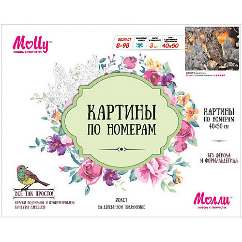 Картина по номерам Molly "Зоркий глаз", 40х50 см от Molly