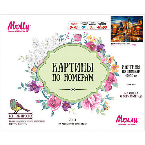 Картина по номерам Molly "Афремов" Ночь в Праге, 40х50 см от Molly