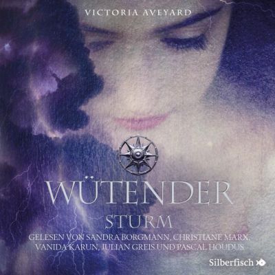 Wütender Sturm, 3 MP3-CDs Hörbuch