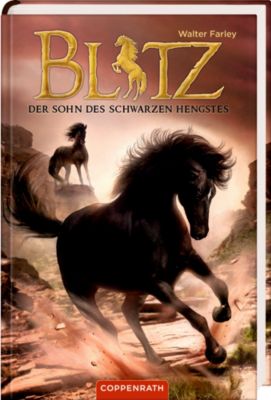Buch - Blitz: Der Sohn des schwarzen Hengstes, Band 3