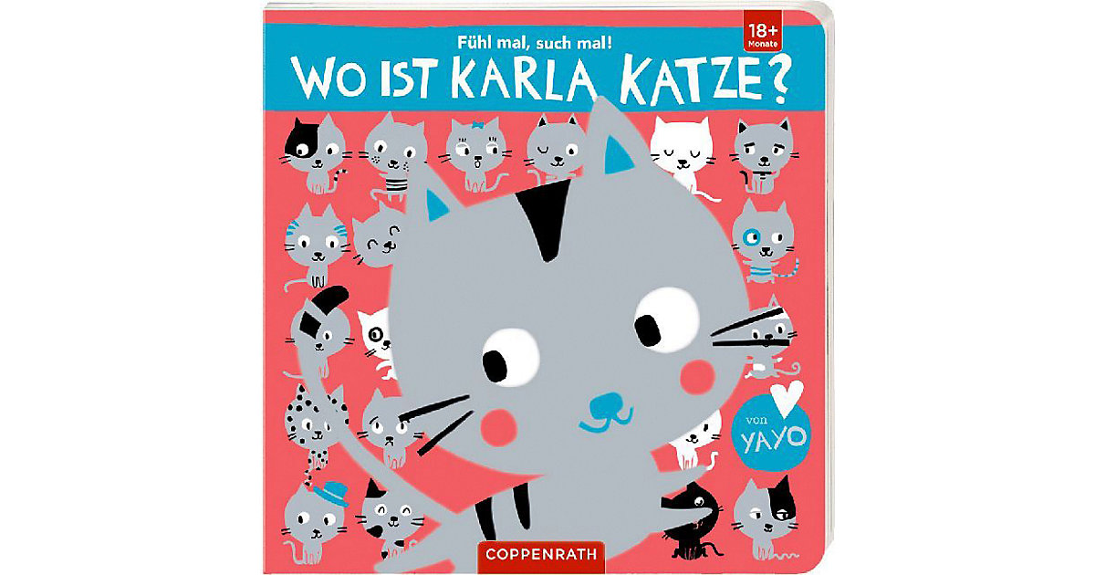 Buch - Fühl mal, such mal!: Wo ist Karla Katze?